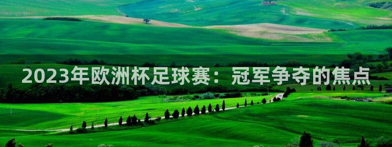 足球比分直播世界杯：2023年欧洲杯足球赛：冠军争夺的焦点