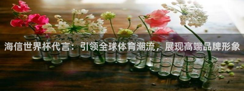 2026世界杯亚洲预选赛：海信世界杯代言：引领全球体育潮流，展现高端品牌形象