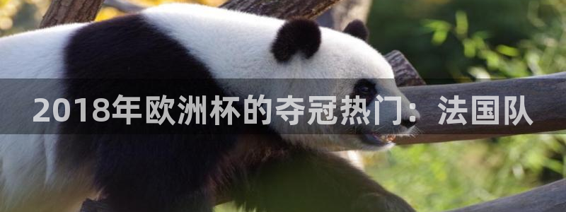 免费看足球直播比赛：2018年欧洲杯的夺冠热门：法国队