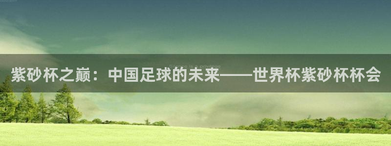 2026世界杯赛：紫砂杯之巅：中国足球的未来——世界杯紫砂杯杯会