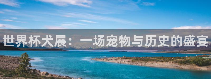 足球世界杯赛程：世界杯犬展：一场宠物与历史的盛宴