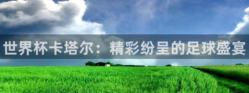 世界杯足球2026：世界杯卡塔尔：精彩纷呈的足球盛宴