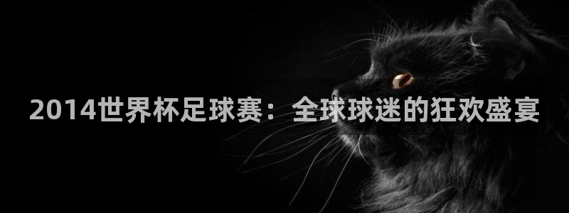 2026足球世界杯：2014世界杯足球赛：全球球迷的狂欢盛宴