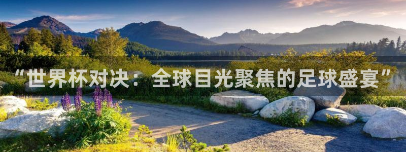 2026世界杯赛程：“世界杯对决：全球目光聚焦的足球盛宴”