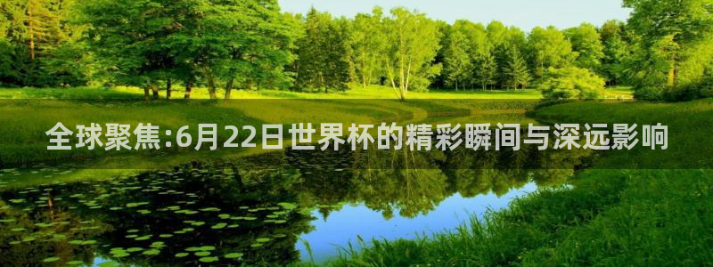 世界杯预选赛赛程时间表：全球聚焦:6月22日世界杯的精彩瞬间与深远影响