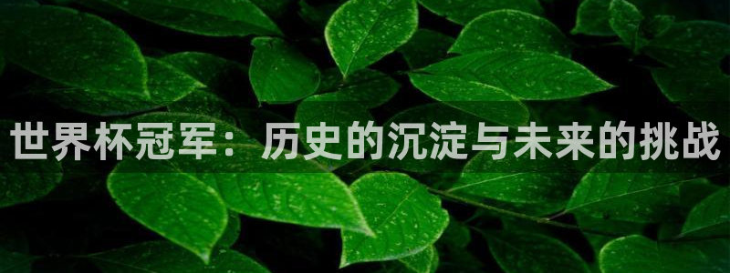 亚洲区世界杯预选赛：世界杯冠军：历史的沉淀与未来的挑战