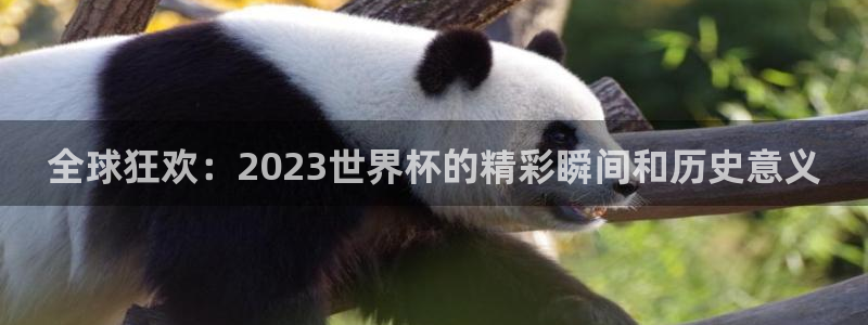 世界杯直播时间：全球狂欢：2023世界杯的精彩瞬间和历史意义