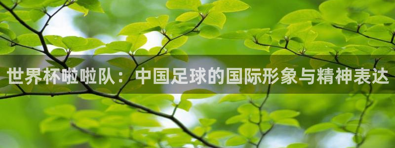 亚洲杯足球：世界杯啦啦队：中国足球的国际形象与精神表达