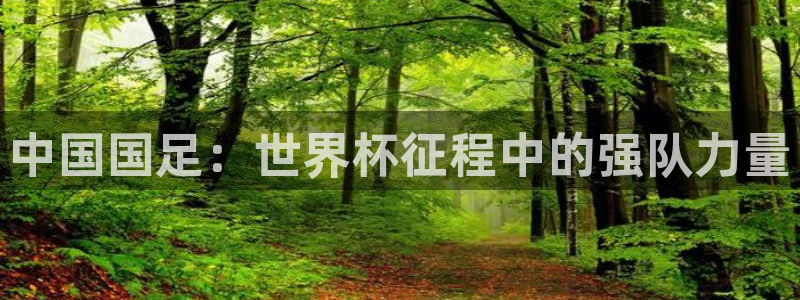 联赛杯直播：中国国足：世界杯征程中的强队力量