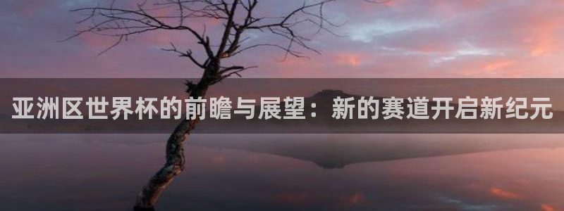 世界杯预选赛规则：亚洲区世界杯的前瞻与展望：新的赛道开启新纪元
