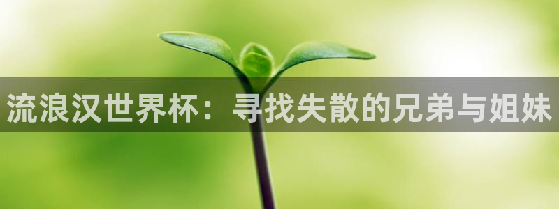 2026年世界杯赛程表时间：流浪汉世界杯：寻找失散的兄弟与姐妹